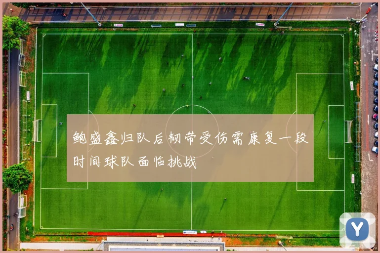 鲍盛鑫归队后韧带受伤需康复一段时间球队面临挑战
